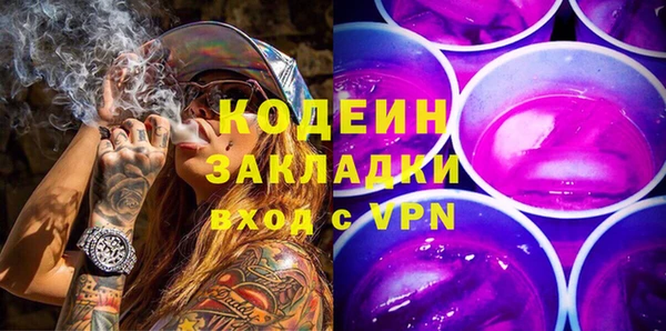 индика Новозыбков