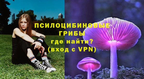 spice Аркадак